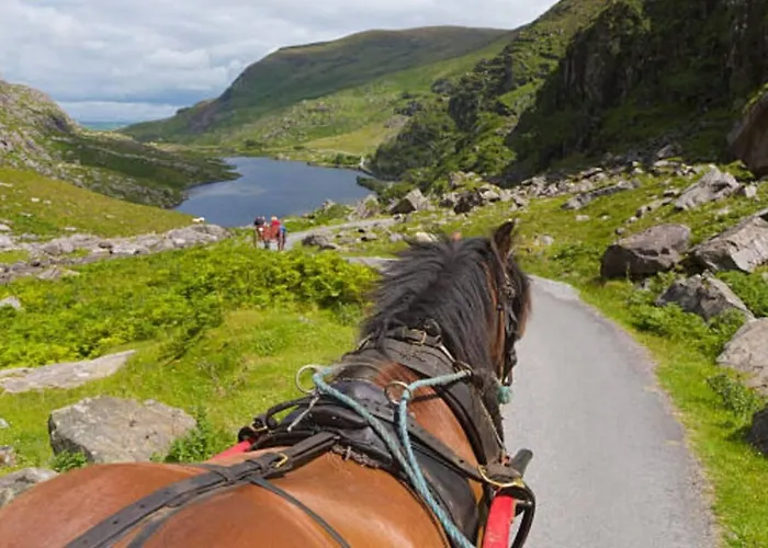 3-bed House In Killarney - Sleeps 6 Dom wakacyjny Lower Coolcorcoran